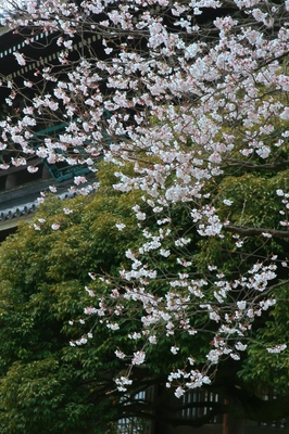 鶴見・総持寺