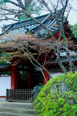 松戸・本土寺
