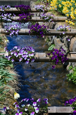群馬・新治村
