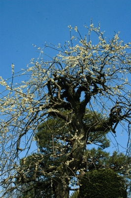 群馬・新治村