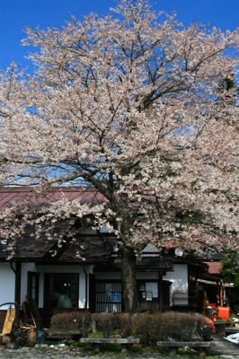 群馬・新治村