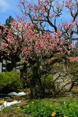 群馬・新治村