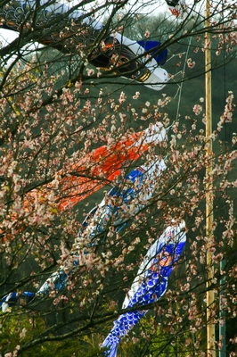 群馬・新治村　（2010.4.18）