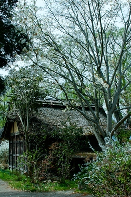 信州・安曇野