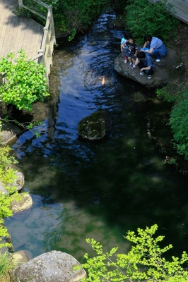 神奈川・七沢森林公園
