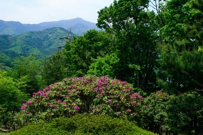 神奈川・七沢森林公園　（2010.5.9）