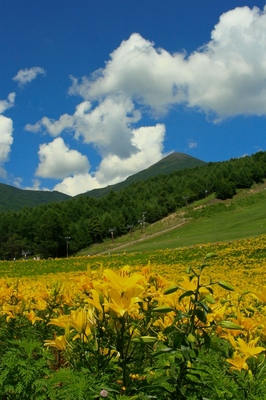 山梨・富士見高原