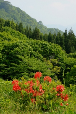 長野・栃川高原
