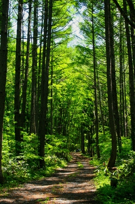 新潟・秋山郷