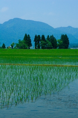 新潟・秋山郷　（2010.612）