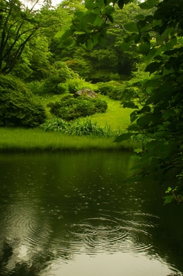 栃木・日光植物園