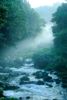 静岡・田貫湖
