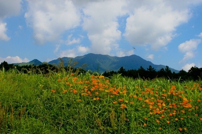 山梨・花の都公園