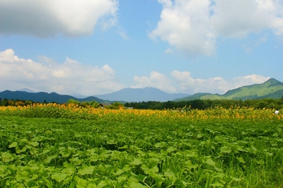山梨・花の都公園