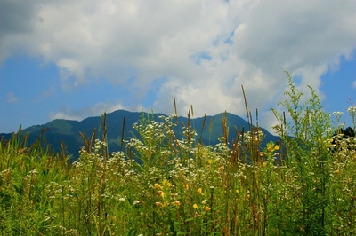 山梨・花の都公園