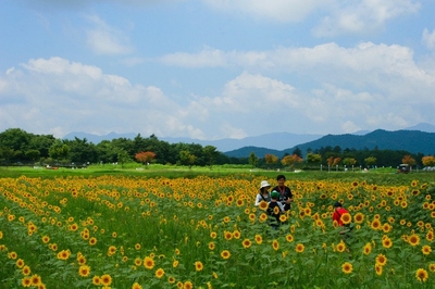 山梨・花の都公園　（2010.8.21）
