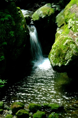 奥多摩・海沢の滝　（2010.9.5）