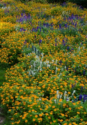 千葉・北総花の丘公園