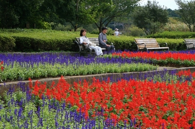 千葉・２１世紀の森公園