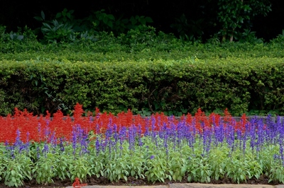 千葉・２１世紀の森公園