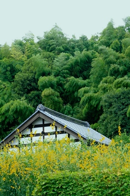 千葉・２１世紀の森公園