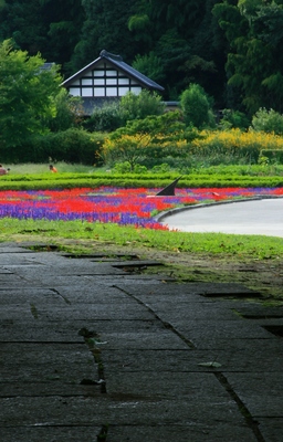 千葉・２１世紀の森公園　（2010.10.3）