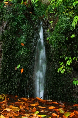 山梨・都留市東桂
