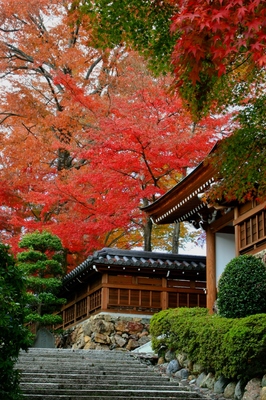 埼玉県飯能・能仁寺