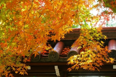 埼玉県飯能・能仁寺