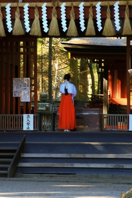 富士浅間神社　（2010.12.5）