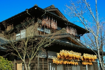 山梨・諏訪の森自然公園
