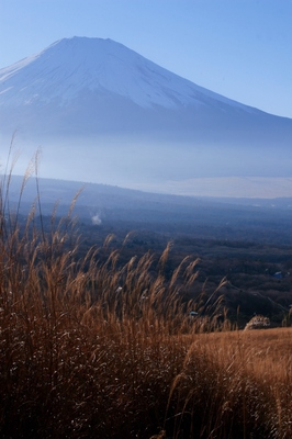 山梨・山中湖