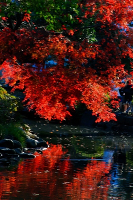 港区・有栖川公園