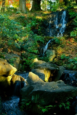 港区・有栖川公園