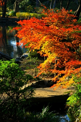 港区・有栖川公園