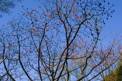 港区・有栖川公園