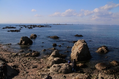 湘南海岸