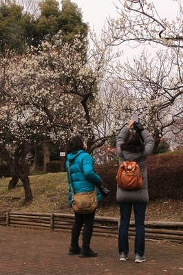 府中市・郷土の森博物館