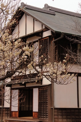 府中市・郷土の森博物館