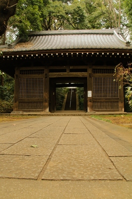 国分寺市　（2018.2.25）