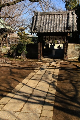 川口市北東部