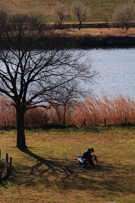 足立区鹿浜・都市農業公園