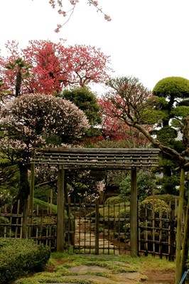 川口市安行地区