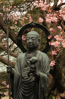 川口市安行地区