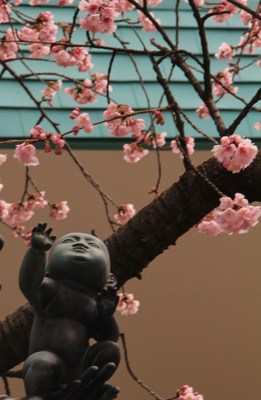 川口市安行地区