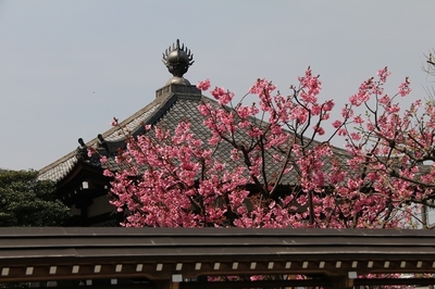 日暮里・寺の町