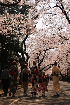 日暮里・寺の町