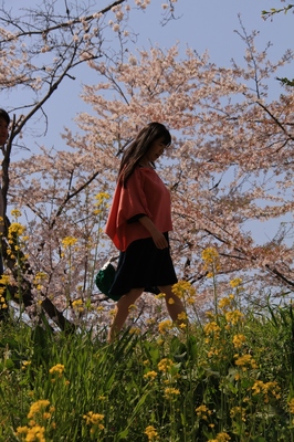 北本市・自然観察園