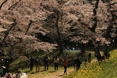 北本市・自然観察園