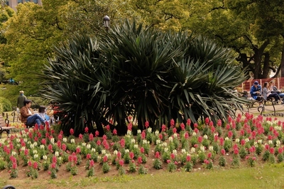 日比谷公園　（2018.4.8）